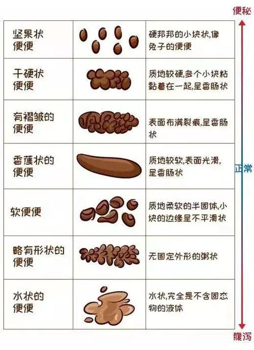 十个月宝宝正常大便图，了解宝宝排便规律，守护宝宝健康