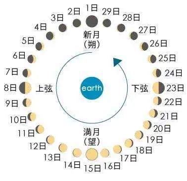 关于时间转换，从周数和天数到月数的探索——以23周4天为例