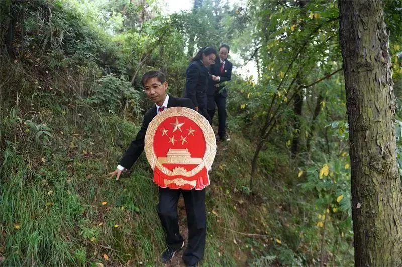 广东省统计执法标准，构建法治化统计体系的关键要素